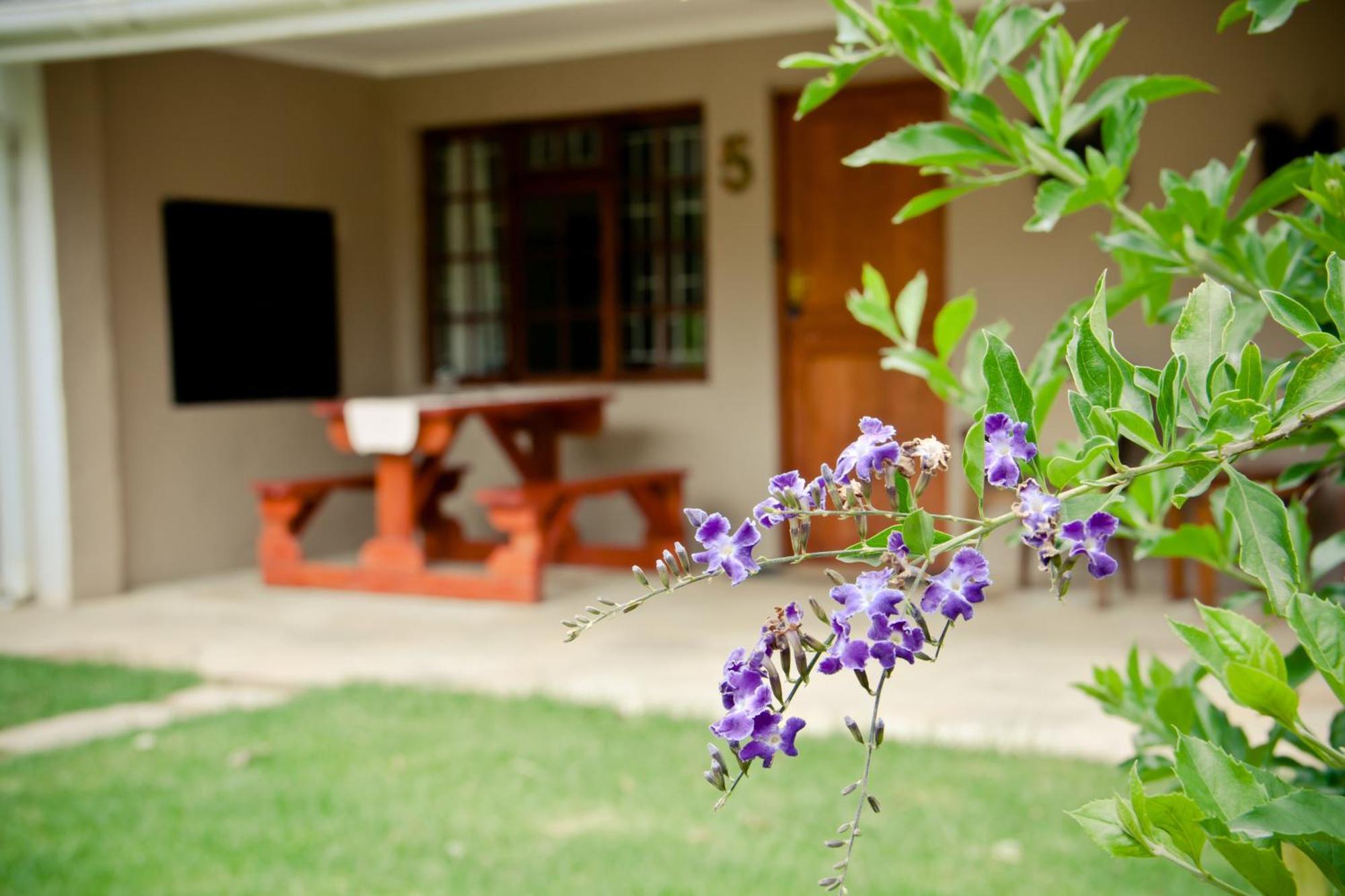 De Old Drift Guest Farm Villa Addo Bilik gambar