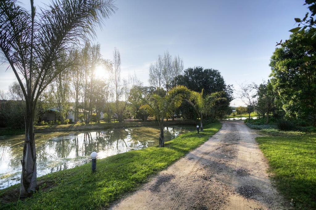 De Old Drift Guest Farm Villa Addo Luaran gambar