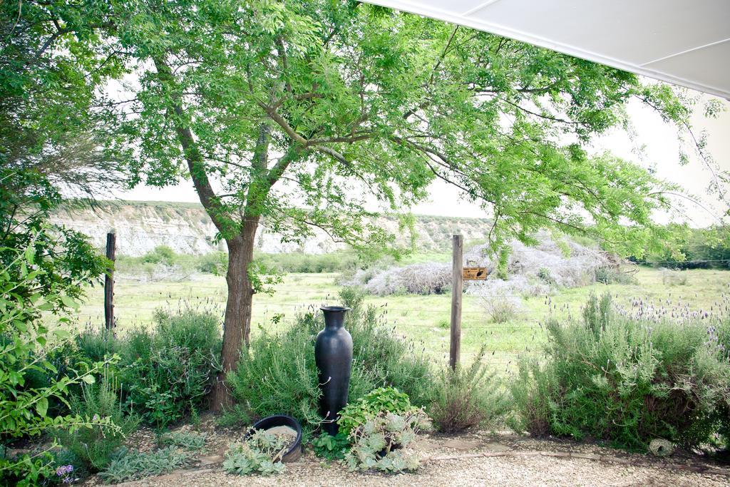 De Old Drift Guest Farm Villa Addo Luaran gambar