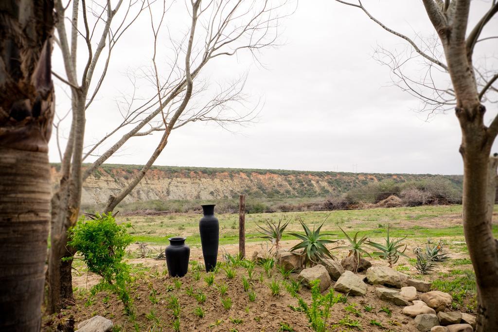 De Old Drift Guest Farm Villa Addo Luaran gambar