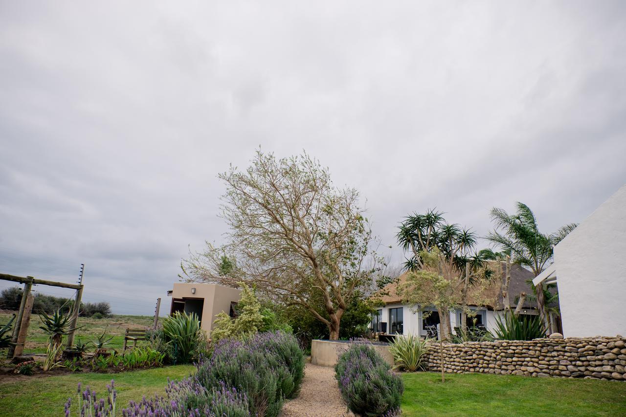 De Old Drift Guest Farm Villa Addo Luaran gambar